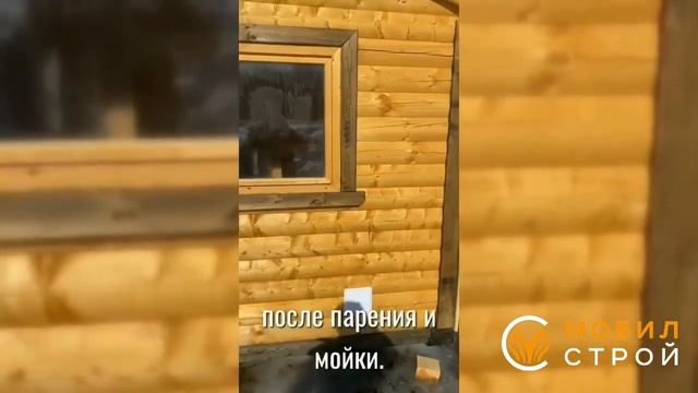 Как выбрать баню и не прогадать? МобилСтрой смотреть онлайн