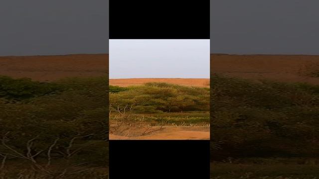 ОСЫПНОЙ БУГОР.Астраханская степь
