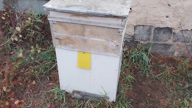 1 ноября - погоды нет, работы тоже смотреть онлайн