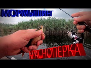 Мормышинг . Ловля красноперки на мормышку с лодки .Спиннинг Nano Zero NSR582S SXUL