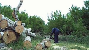 Просто пилю дрова