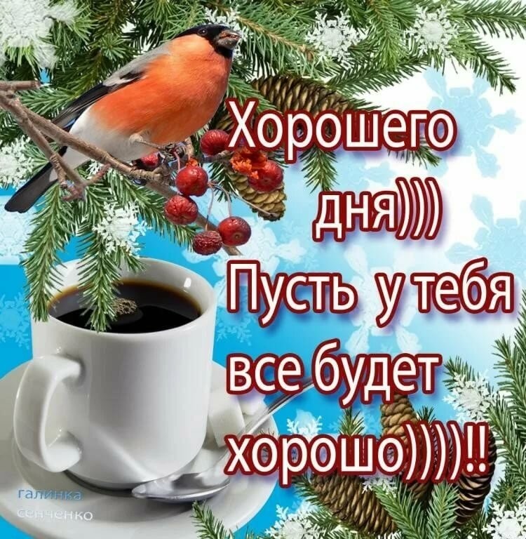 Зимний приветик тебе от меня! Добрый зимний день пускай удачным будет! Позитивчик для друзей