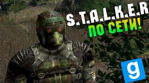 S.T.A.L.K.E.R - Зов Затона в Гаррис моде#1