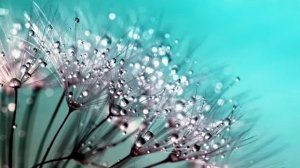 Корней Чуковский: Муха-Цокотуха. Слушать стих-сказку