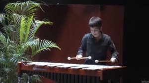 Vibraphone Rock-Song N.J Zivkovic à Mulhouse(68) Tristian Broggia.flv