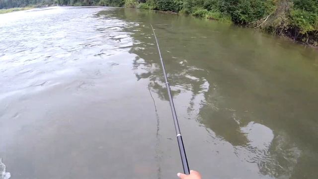 Хариус на перекате . Сентябрь 2021 смотреть онлайн