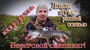 Рыбалка на спиннинг осенью на микроречке. Ловля щуки с берега.
