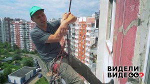 Как утку всем подъездом спасали. Видели видео? Фрагмент выпуска от 27.09.2020