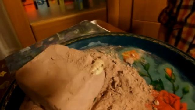 Юный палеонтолог Андрей Зиновьев смотреть онлайн