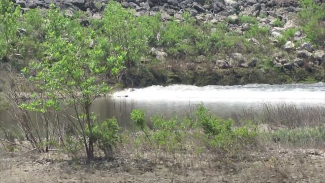 FishTales: Brazos River Fishing: What You Need to Know! смотреть онлайн