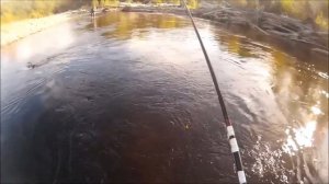 Рыбалка на р. Анюй. Сентябрь 2017.