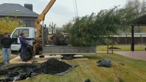 посадка ёлки Nissan atlas Краны-манипуляторы ShinMaywa (КМУ ShinMeywa)