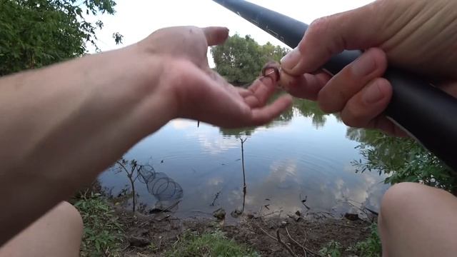 Ловля на маховую удочку с гусиным пером. Рыбалка на карася, как в детстве. смотреть онлайн
