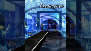 Куда можно сходить?