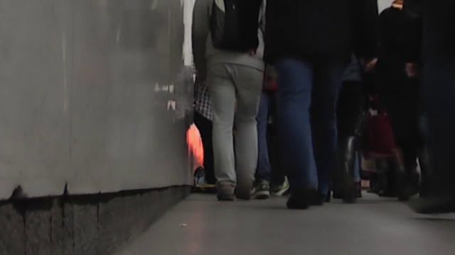 Парень классно играет на скрипке! "My Heart Will Go On" смотреть онлайн