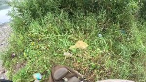 река Томь 2.mp4