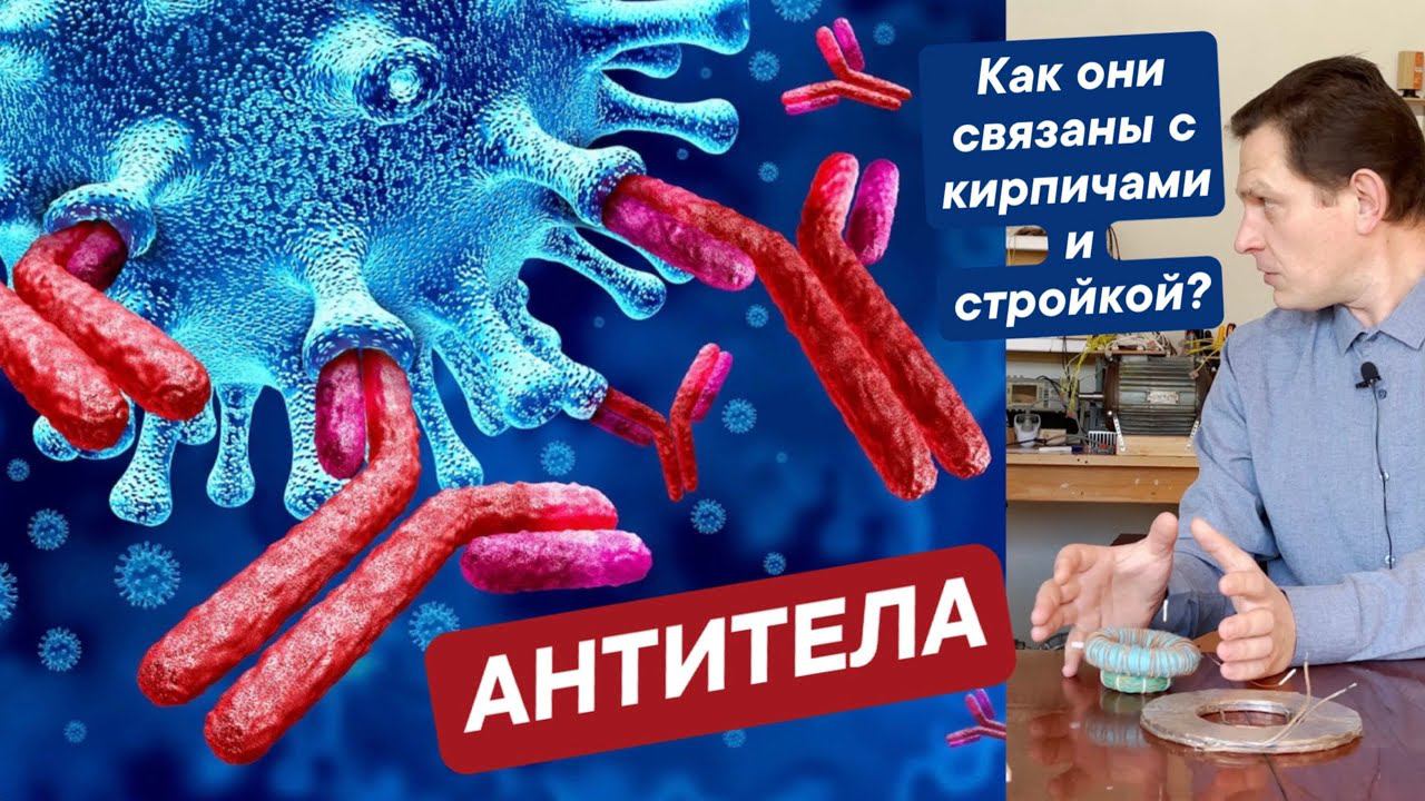 Александр Мишин об Антителах. Антитела, что это такое, как они связаны с кирпичами и стройкой?