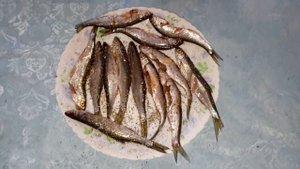 Жареная уклейка с прованскими травами