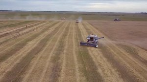 Выезд на уборку урожая 2021. Комбайны Дон-1500Б и Енисей-1200 бок о бок.