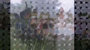 Пруд в Поповке