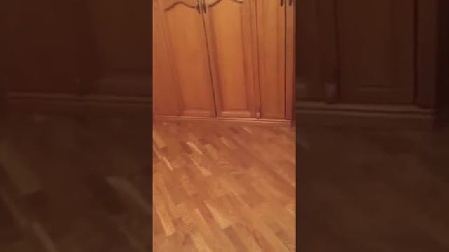 Питомник "Magnificent " смотреть онлайн