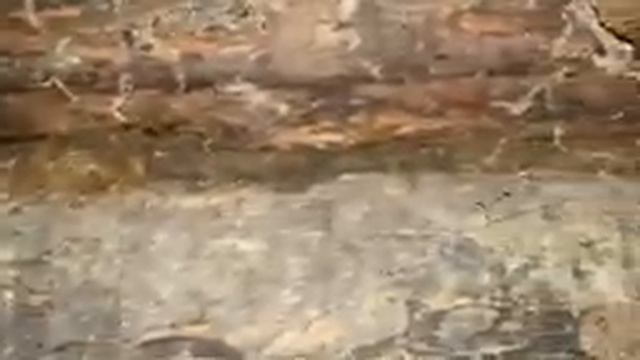 Дом в деревне Дуброво смотреть онлайн