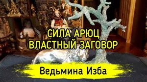 СИЛА АРЮЦ. ВЛАСТНЫЙ ЗАГОВОР. ДЛЯ ВСЕХ. ВЕДЬМИНА ИЗБА ▶️ ИНГА ХОСРОЕВА