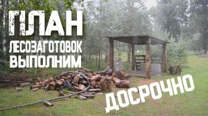 Наш ДРОВНИК, Красиво и Дешево / Оживляем заброшенный лесной хутор