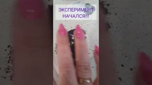 ?РАЗОБЛАЧЕНИЕ ? ?Чай Гринвей против чая из магазина?