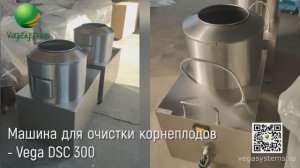 Машина для очистки корнеплодов, моркови, свеклы - Vega DSC 300