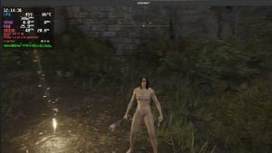 ELDEN RING | Linux Proton Setup and Test