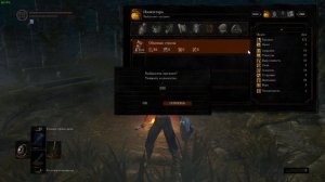 Дюп душ в DS REMASTERED 2021-2025 / Quantity Using