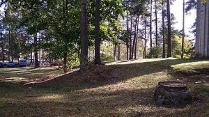 Санкт-Петербург им.Бобочино пос.Поляны(стар.назв.Церковная деревня(Мозjгопи))Россия лета2020(7529)