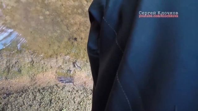 Рыбалка на поплавок в ручье Саров смотреть онлайн