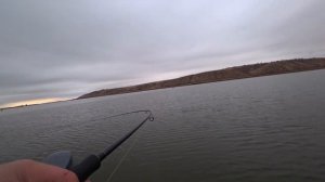Рыбалка на судака в Калаче на Дону! Судак на джиг! Выбор приманки! Рыбалка на судака в ноябре!