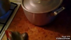 Приготовление гороховой мастырки для рыбалки