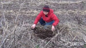 Как я сделала почву плодородной. Часть 3.