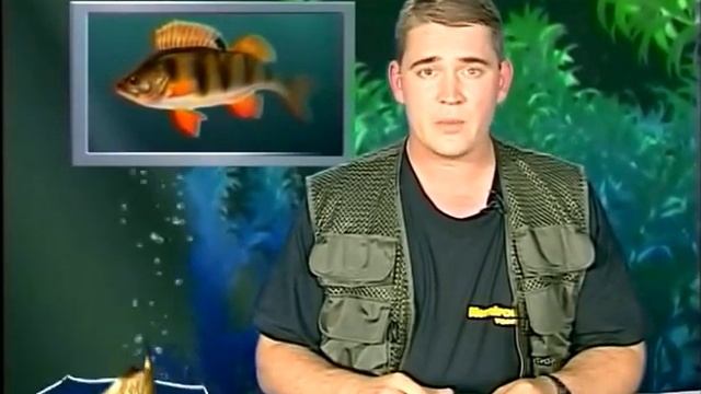 Окунь. "Рыбьи Портреты".