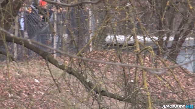 Valentino Rossi Vs. Daniel Sordo - 2016 Monza Rally Show смотреть онлайн