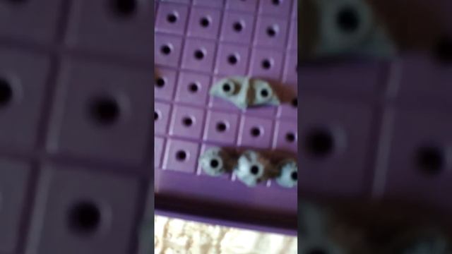 как я всё угадывал у Пети ( это не Морской бой а космобой) смотреть онлайн