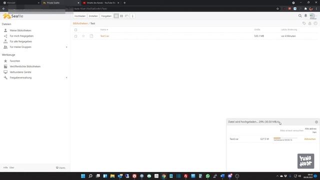 Datenspeicher Seafile mit YunoHost смотреть онлайн