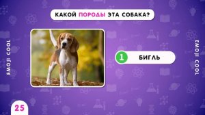 НАСКОЛЬКО ВЫ ЭРУДИРОВАННЫ? ТЕСТ НА ОБЩИЕ ЗНАНИЯ / 50 ВОПРОСОВ 🤯 / EMOJI COOL