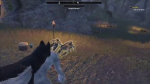 Forever a BEAST! Forever a Werewolf! - ESO