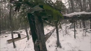 Будни промысловика (часть 1)