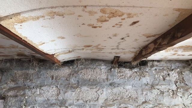 УТЕПЛЕНИЕ СВИНАРНИКА//предпродажная ревизия//-25 это неприятно смотреть онлайн