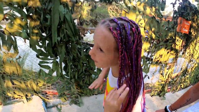 Алиса в ЗООПАРКЕ. Увидела настоящего Тигра. смотреть онлайн