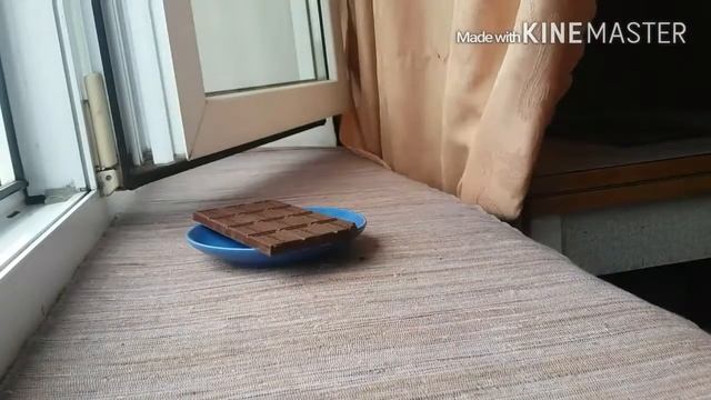 Что делают девушки,когда остаются дома одни?*_* смотреть онлайн