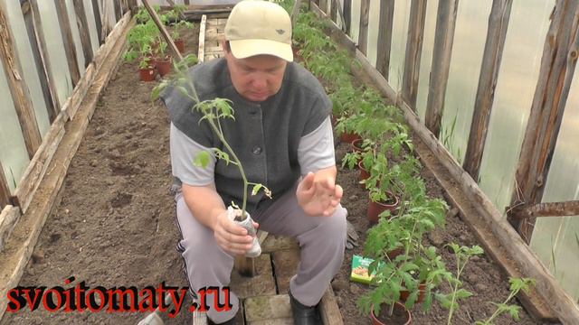 Рассада двумя способами «Высадка» смотреть онлайн