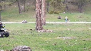 АРХЫЗ В МАЕ