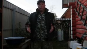 Грибы для кур несушек.